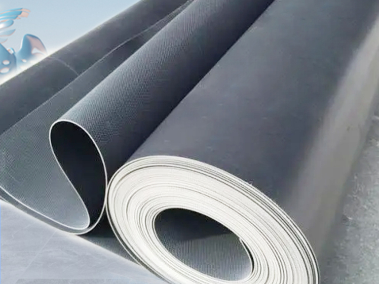 购买防水卷材，为什么选择大明防水